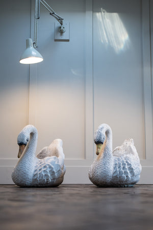 Pair of Swans