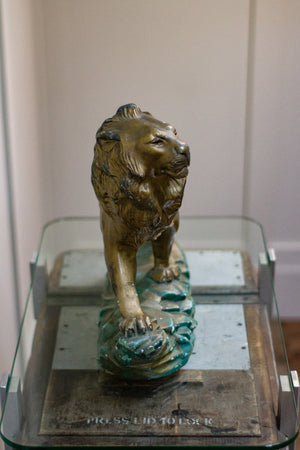 Plaster Lion 20th Century
